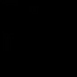 Meet your Posher, Brooklyn